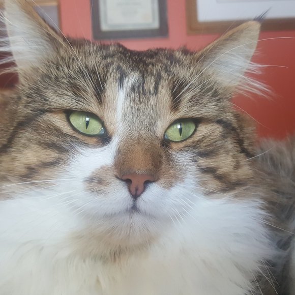 Meet your Posher, Cathy - Picture 2 of 2